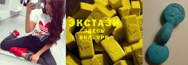 ECSTASY Краснослободск
