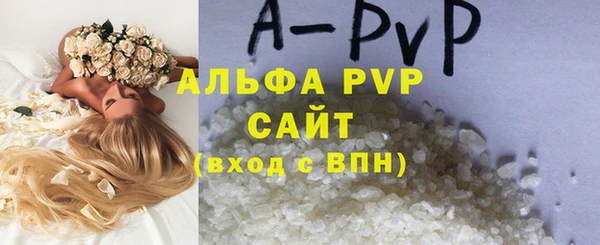 ECSTASY Краснослободск